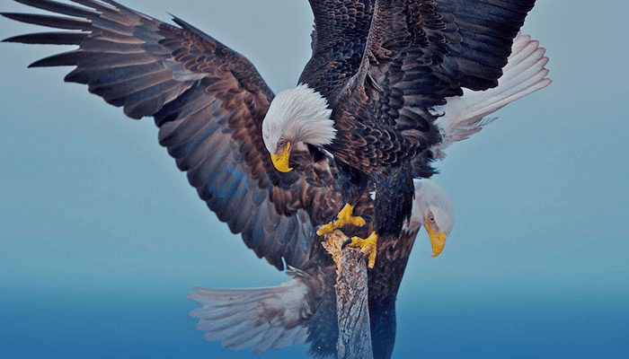 TRUKING VALUES TRUKING VALUES